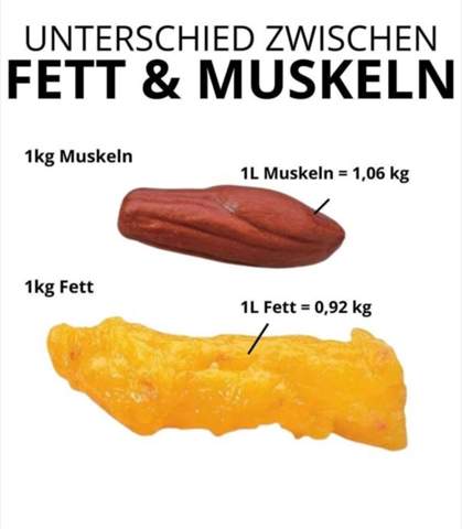 Trainingsfrequenz und Muskelaufbau